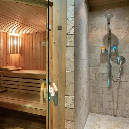 Familial A Avec Piscine Et Sauna Pour 12 Personnes - Fr-1-569-2 シャレー