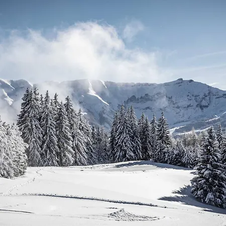 Familial A Avec Piscine Et Sauna Pour 12 Personnes - Fr-1-569-2 メジェーヴ